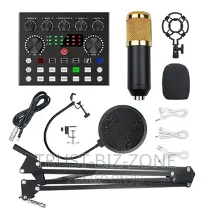 Studio Recording Microphone Condenser