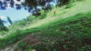 Industry Plot Heka 9 at Bagamoyo