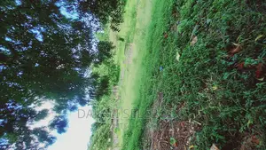 Industry Plot Heka 9 at Bagamoyo