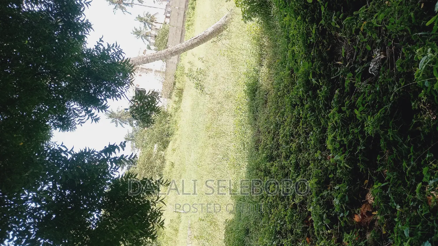 Industry Plot Heka 9 at Bagamoyo