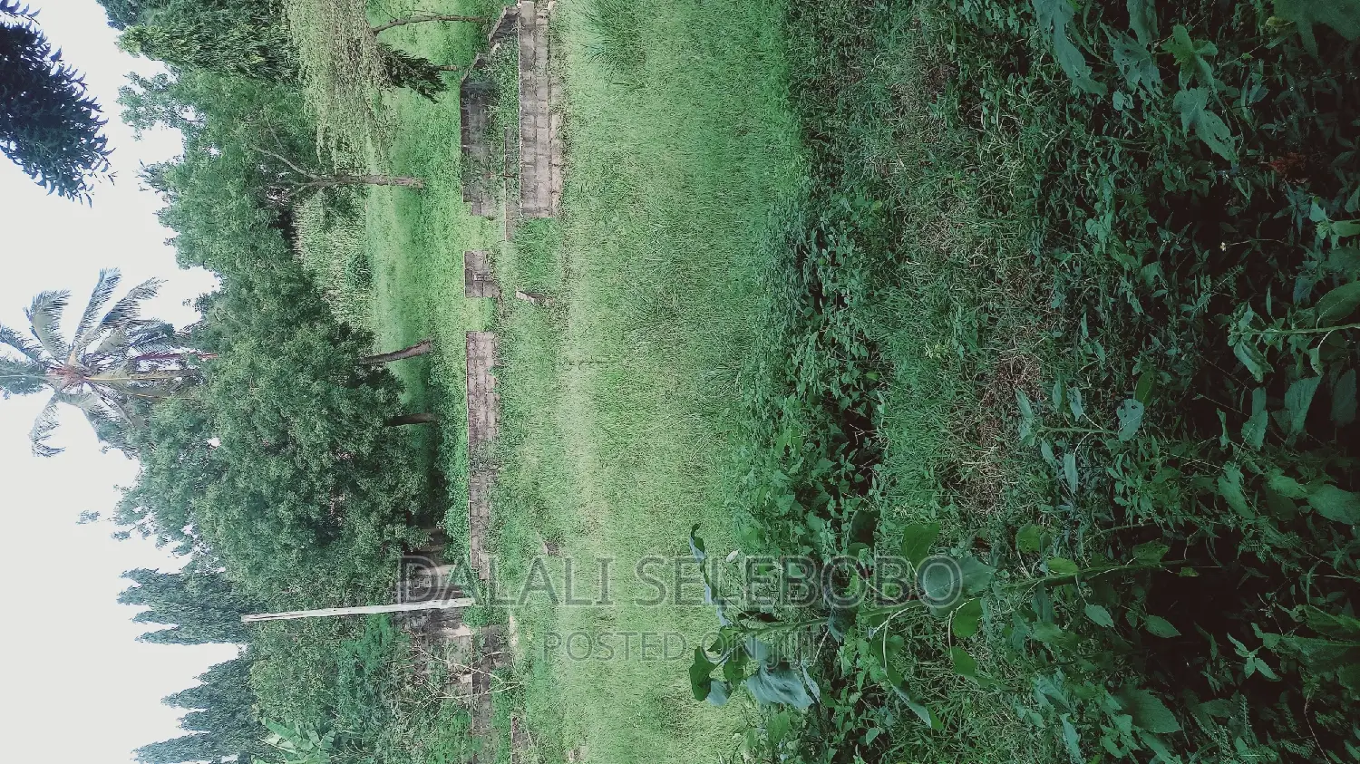 Industry Plot Heka 9 at Bagamoyo