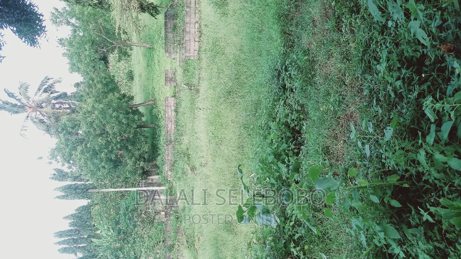 Industry Plot Heka 9 at Bagamoyo