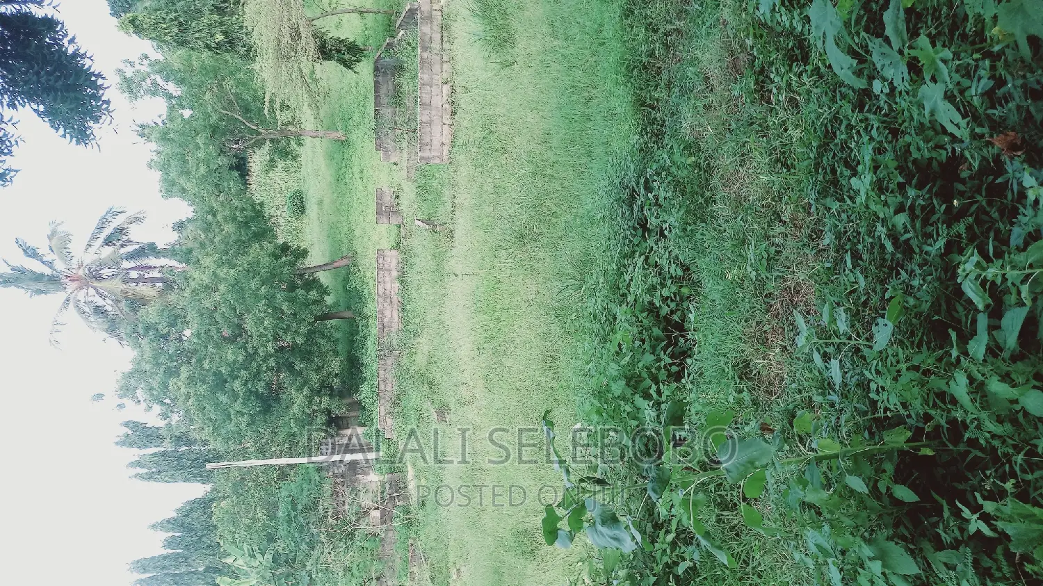 Industry Plot Heka 9 at Bagamoyo