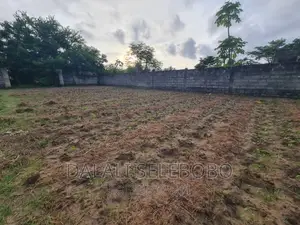 Plot 2in1 at Boko Near by Ununio
