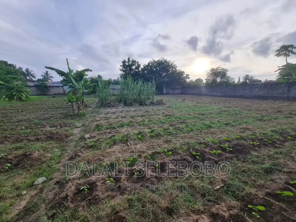 Plot 2in1 at Boko Near by Ununio