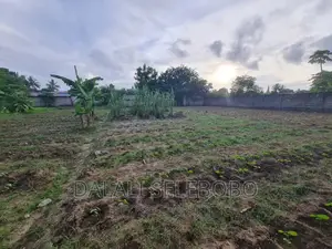 Plot 2in1 at Boko Near by Ununio