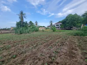 Plot 2in1 at Boko Near by Ununio