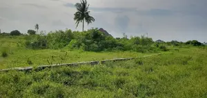 Kiwanja Kinauzwa Kigamboni ,Gezaulole
