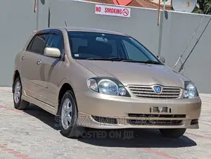 Toyota Allex 2002 Gold
