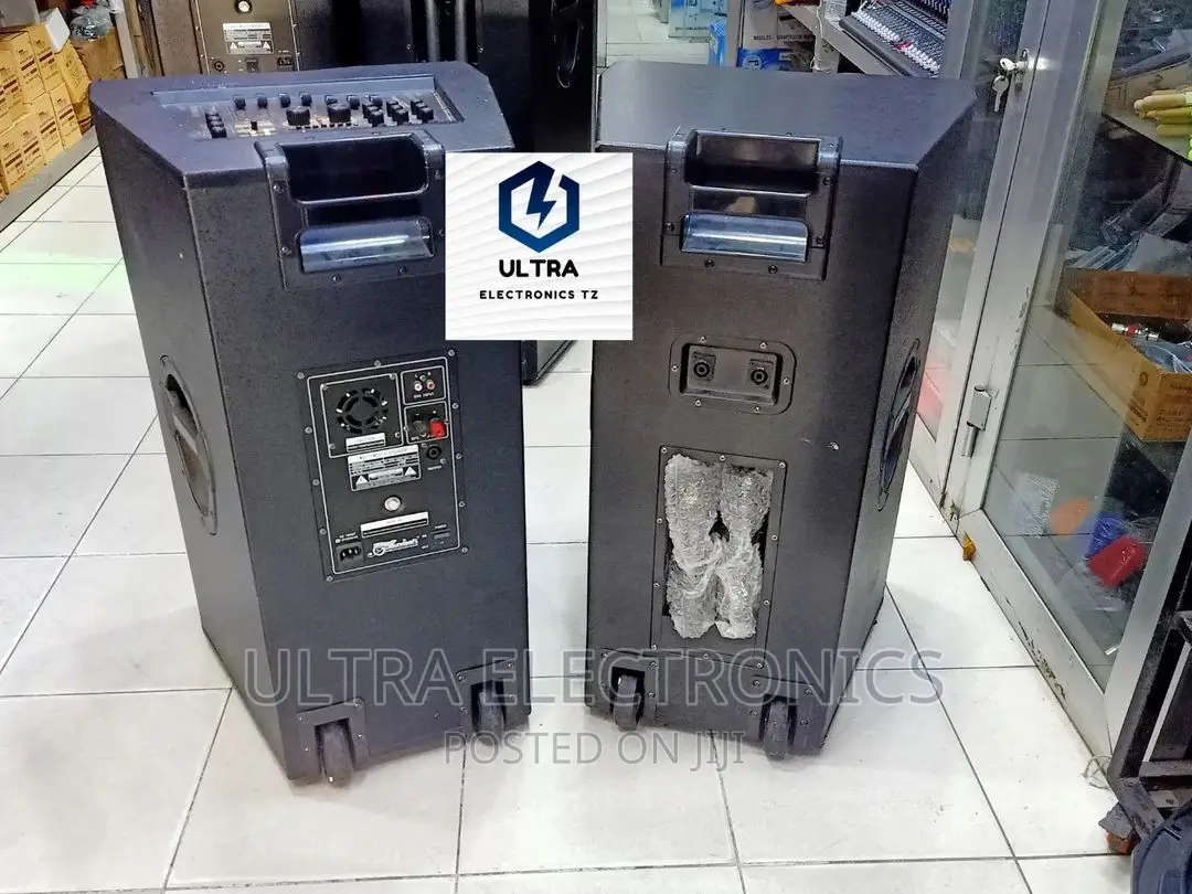 Soundsoft Professional Speakers With Master Equalizer 2mic