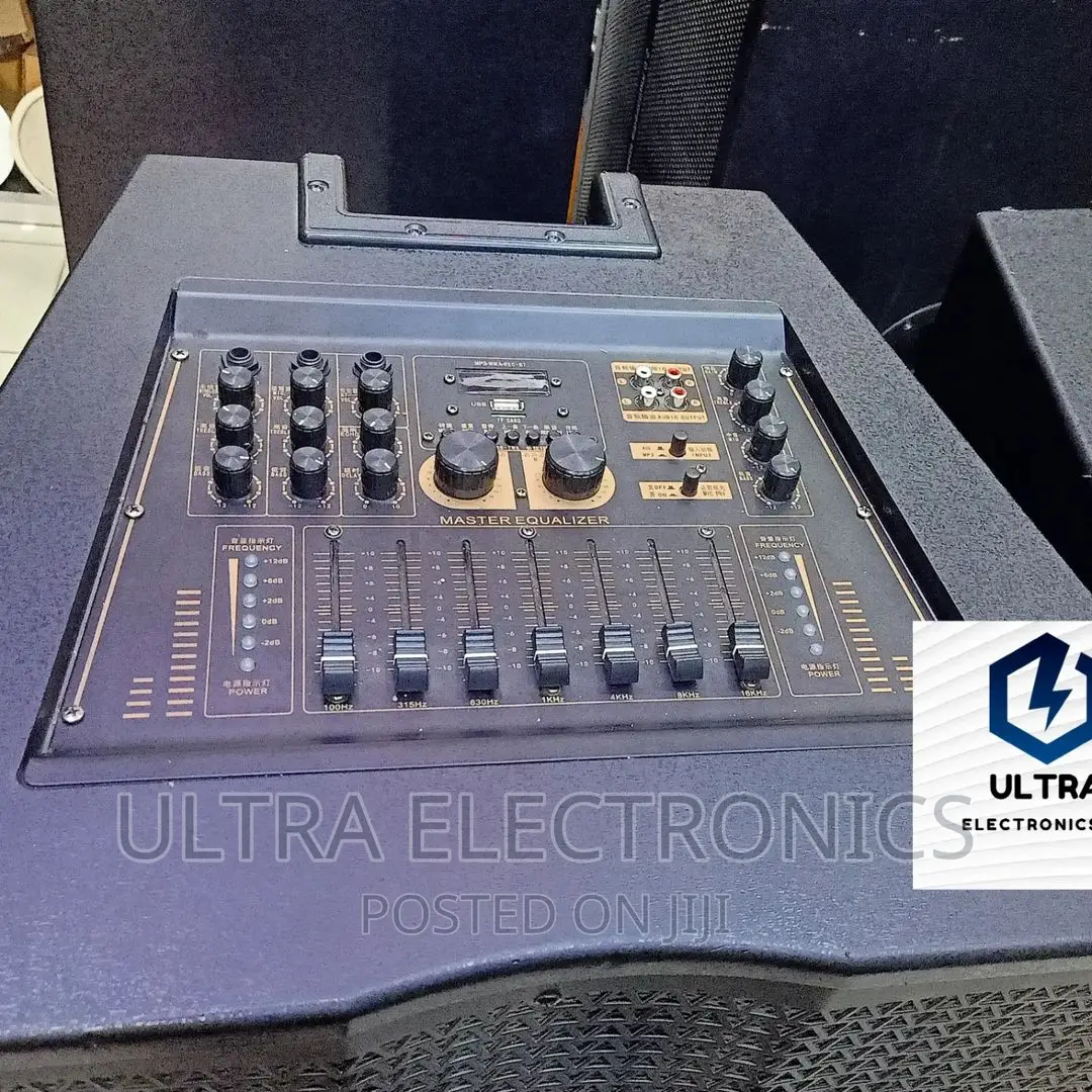 Soundsoft Professional Speakers With Master Equalizer 2
