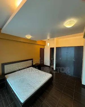 Furnished 4bdrm Apartment in Upanga for rent