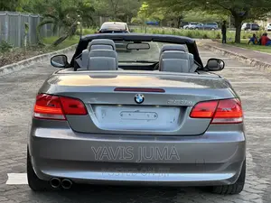 BMW 3 Series 2008 Gray