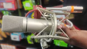 Professional Condenser Microphone U87