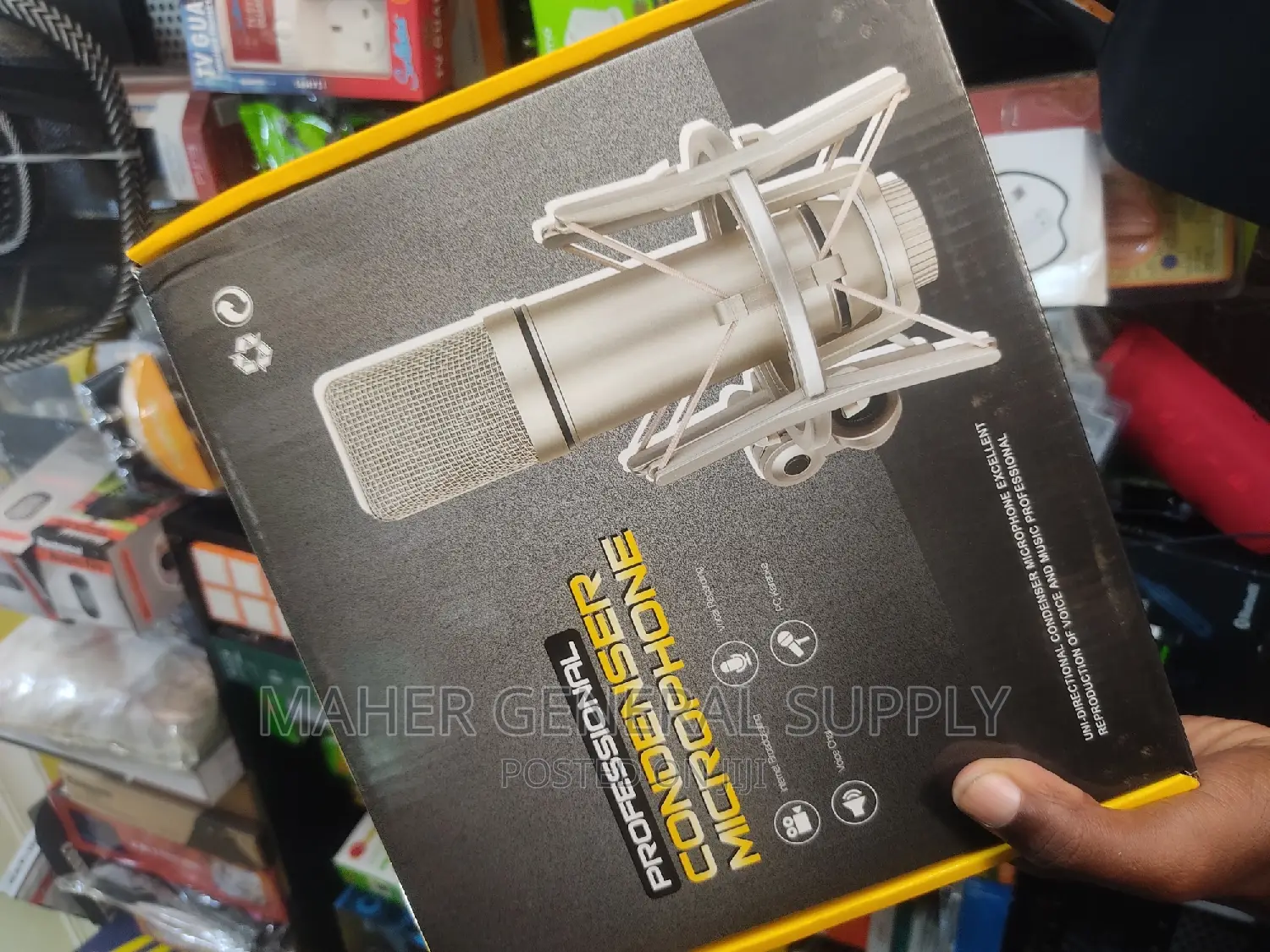 Professional Condenser Microphone U87