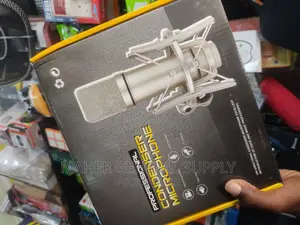Professional Condenser Microphone U87