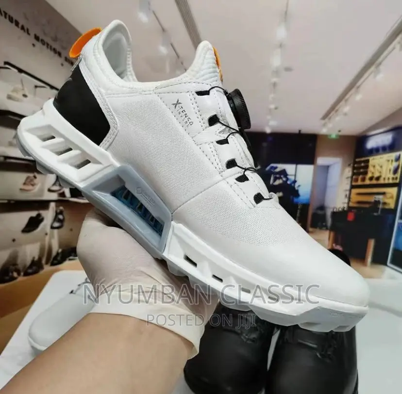 Ecco Shoes Original