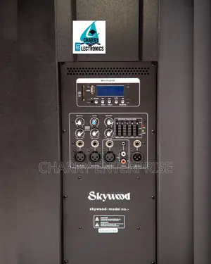 SKYWOOD Professional TOWER 2 Way 15" Trolley SPEAKER 350W