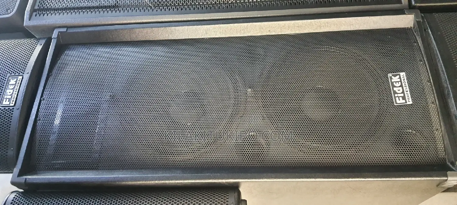 Fidek Professional Speaker 500W