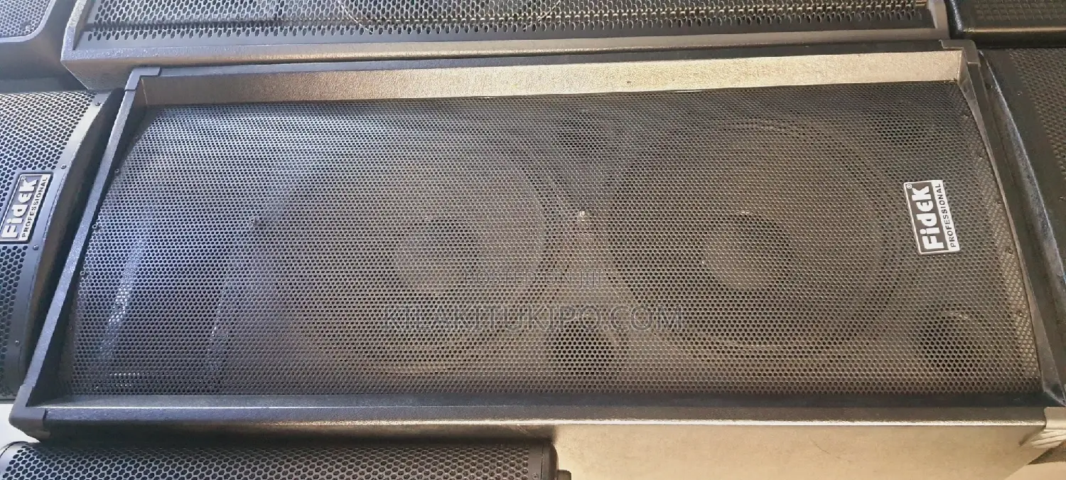 Fidek Professional Speaker 500W