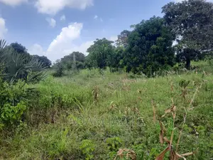 Shala Ekari 3 Linauzwa Fukayosi Bagamoyo