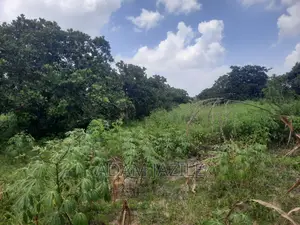 Shala Ekari 3 Linauzwa Fukayosi Bagamoyo
