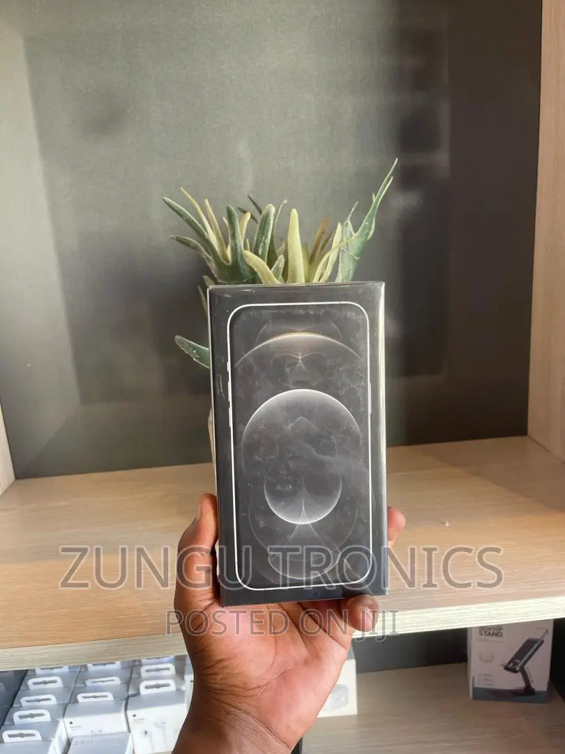 New Apple iPhone 12 Pro Max 128 GB Silver