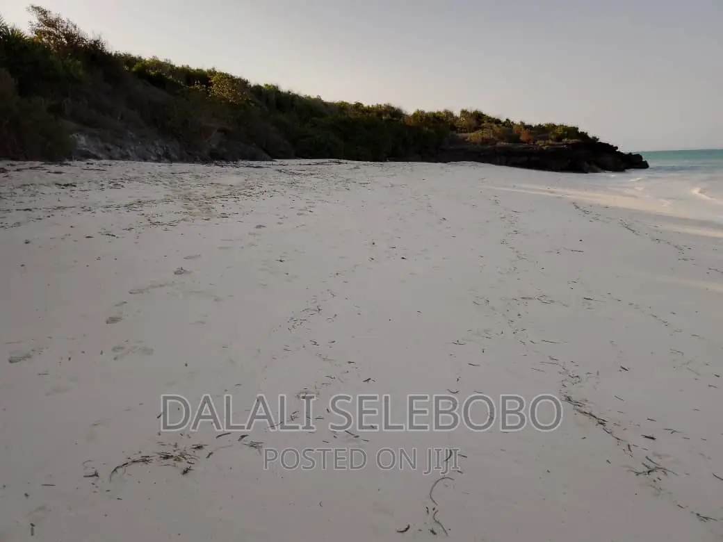 Beach Plot at Zanzibar Hecta 35