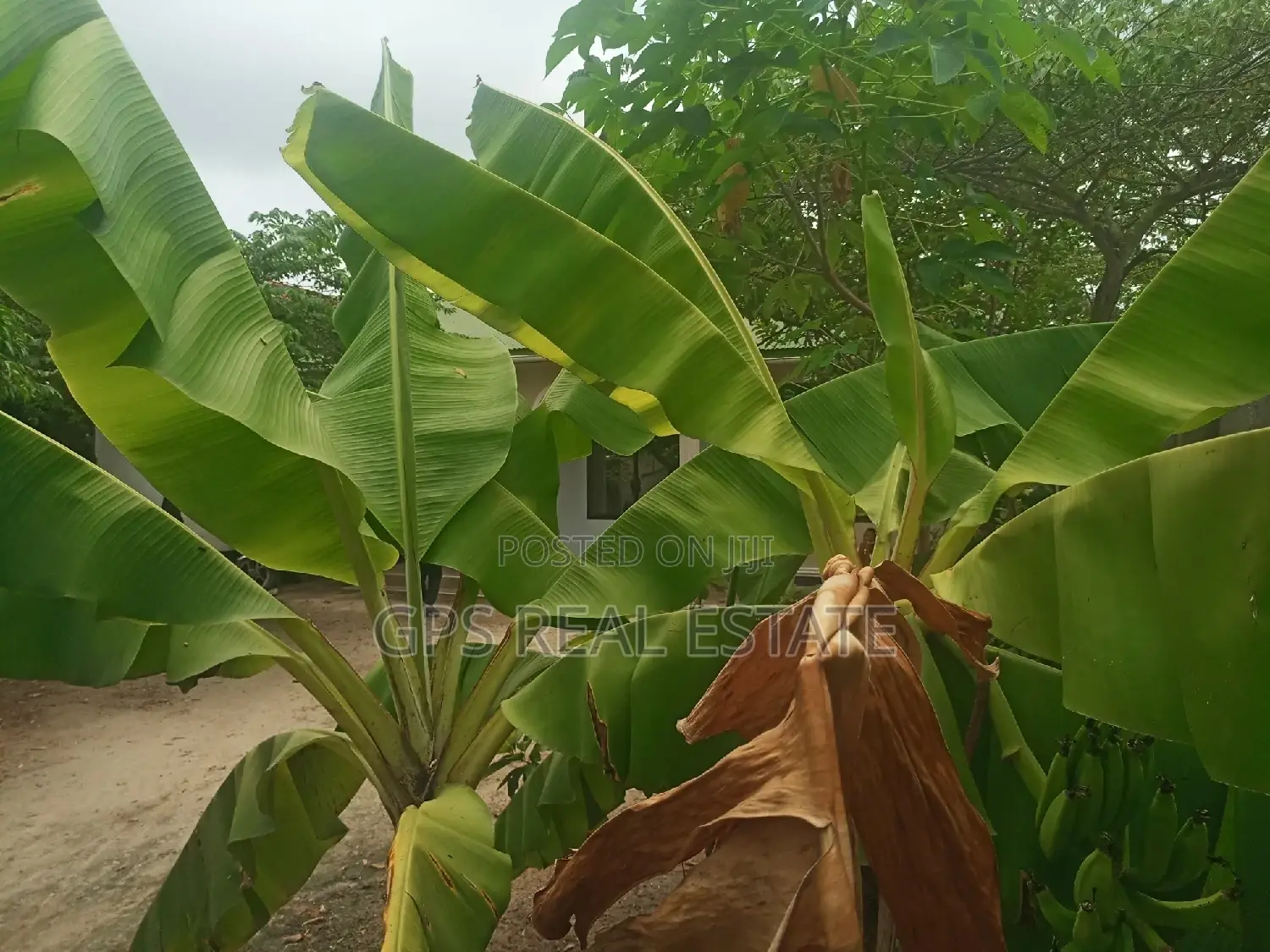 3bdrm House in Kitunda Machimbo, Ilala for sale