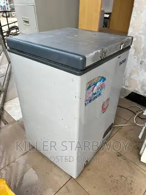 Freezer Lita 100