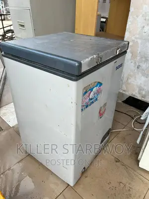 Freezer Lita 100