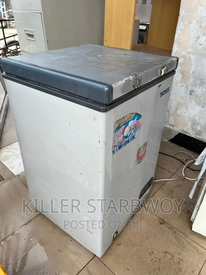 Freezer Lita 100