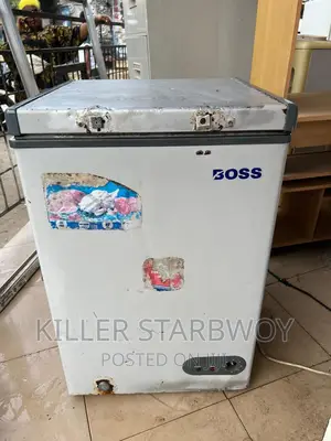 Freezer Lita 100