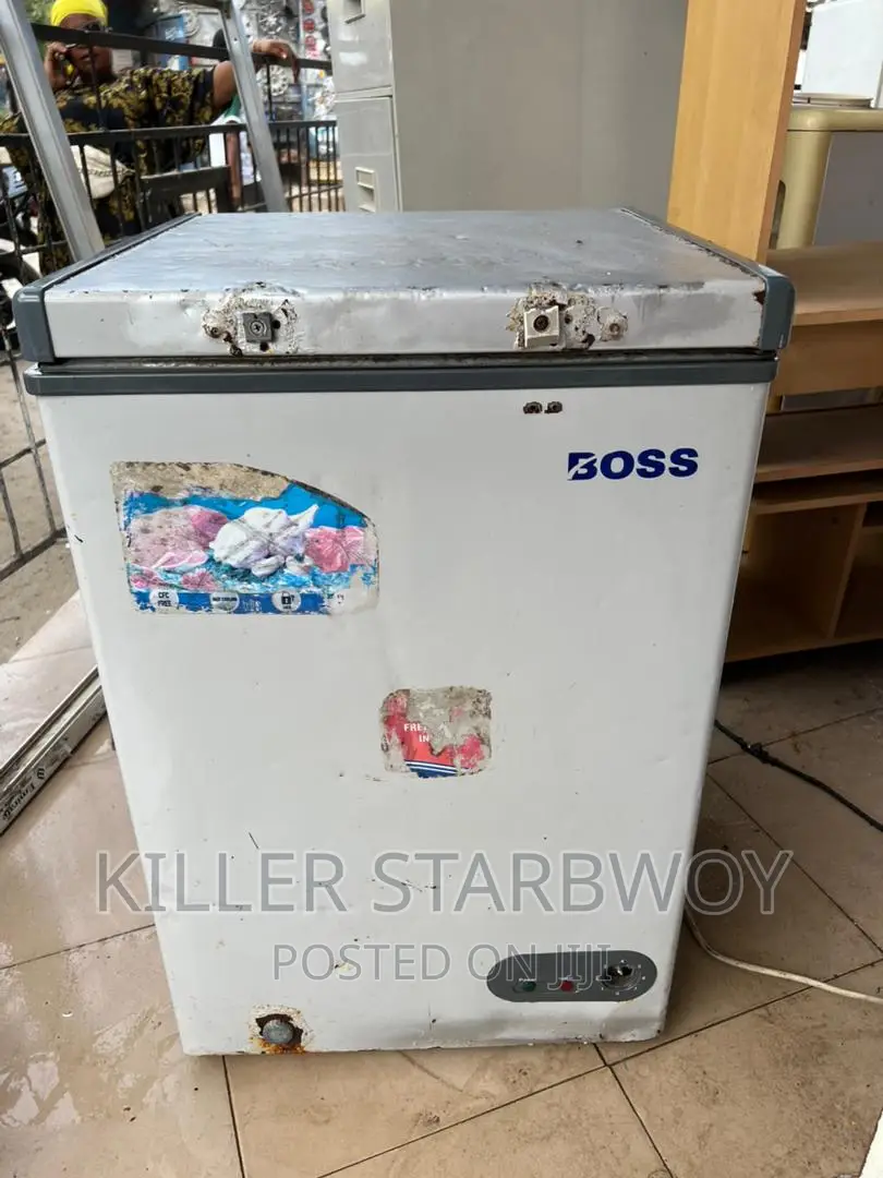 Freezer Lita 100