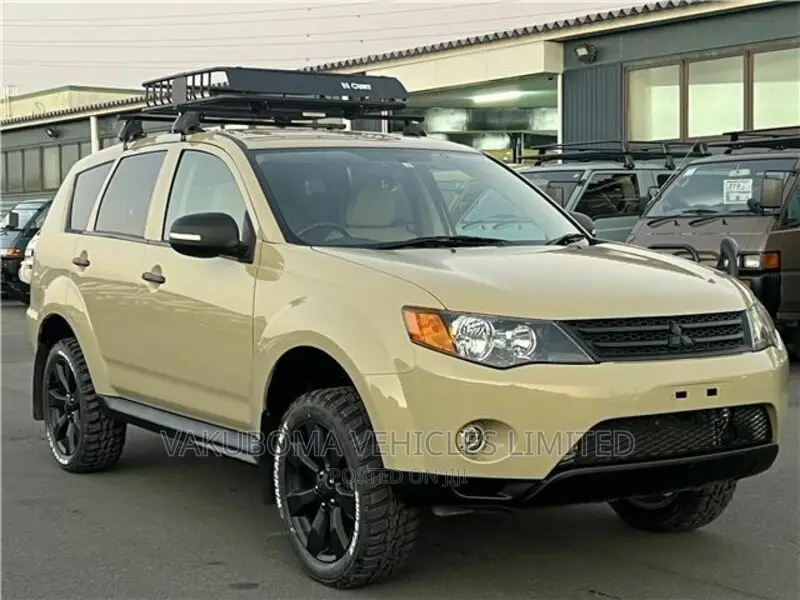 Mitsubishi Outlander 2011 Brown