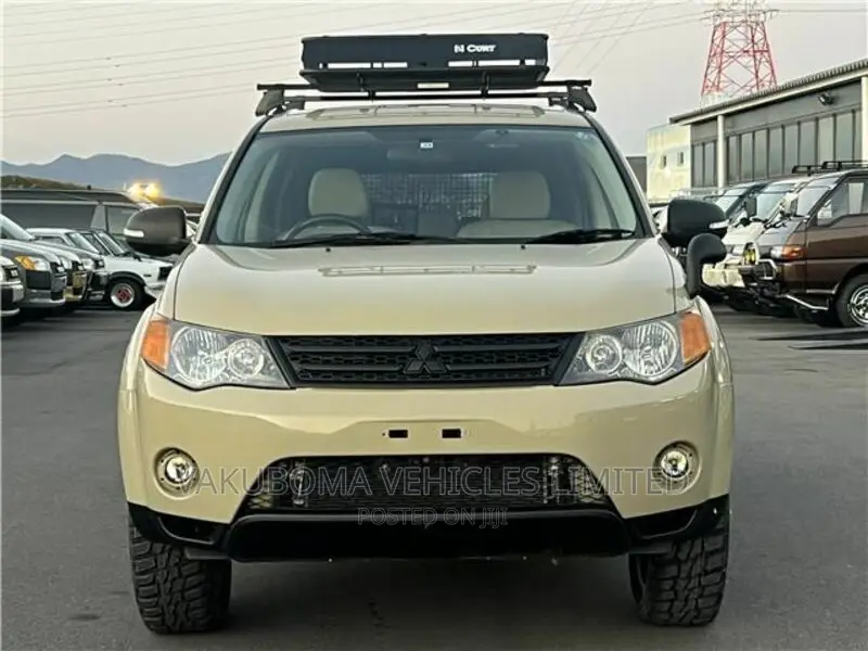 Mitsubishi Outlander 2011 Brown