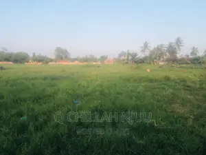 Photo - Plot for Sale Tegeta Wazo