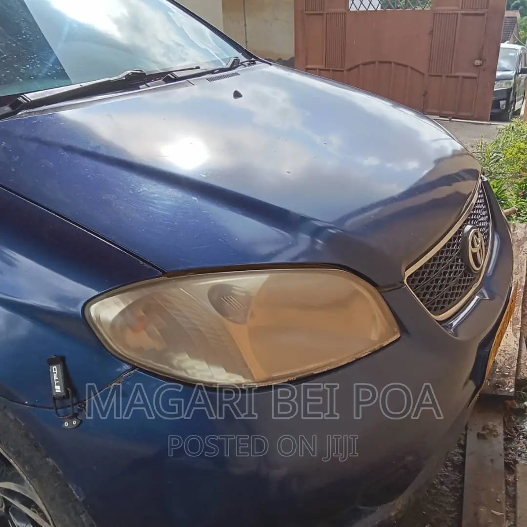 Toyota Vios 2006 Blue