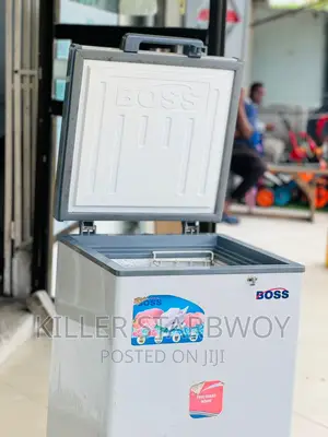 Freer Lita 100