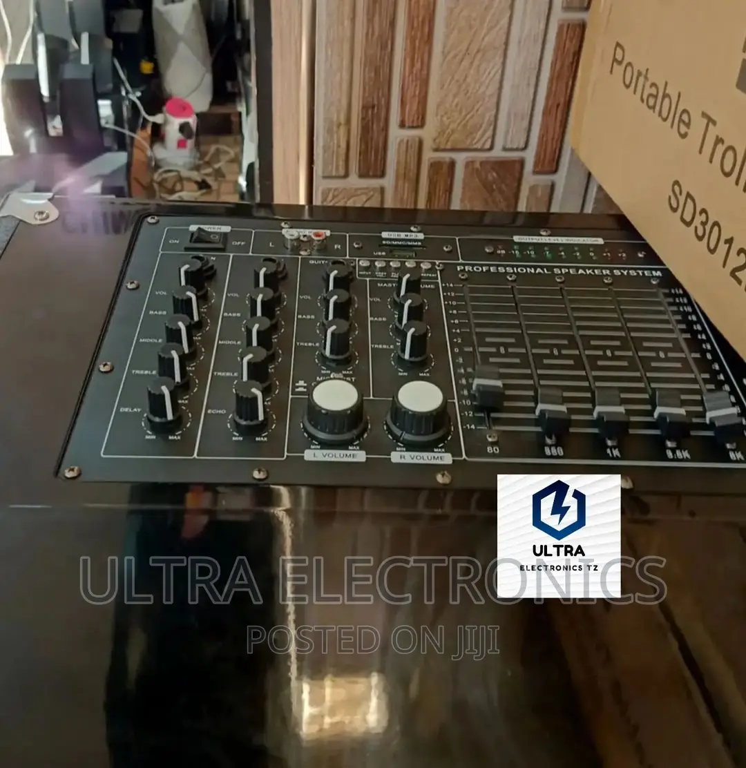 RICH SOUND Powerful Speakers With 2 Wireless Microphones 