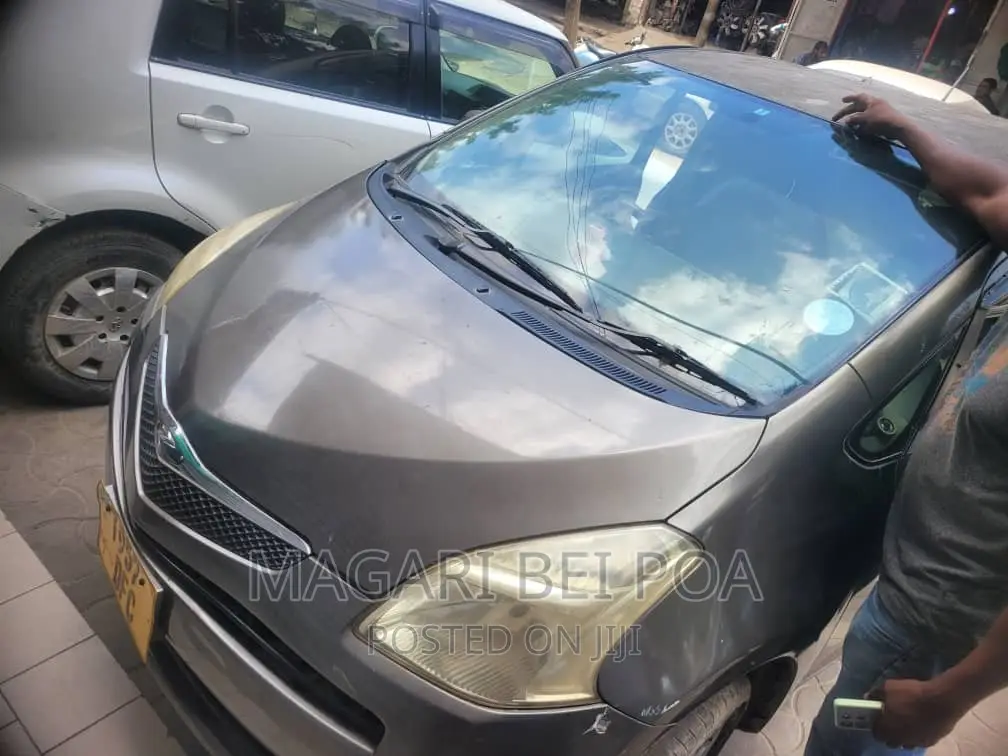 Toyota Ractis 2007 Gray
