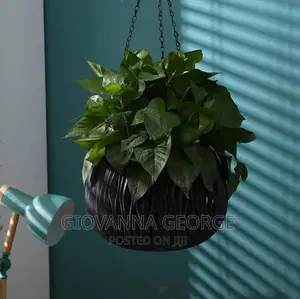 Hanging Flower Pots