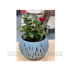 Hanging Flower Pots