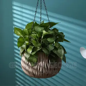 Hanging Flower Pots