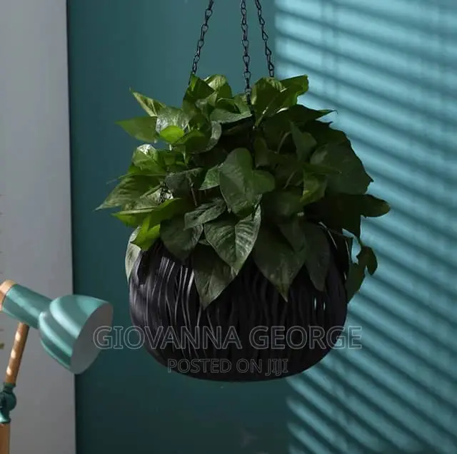 Hanging Flower Pots