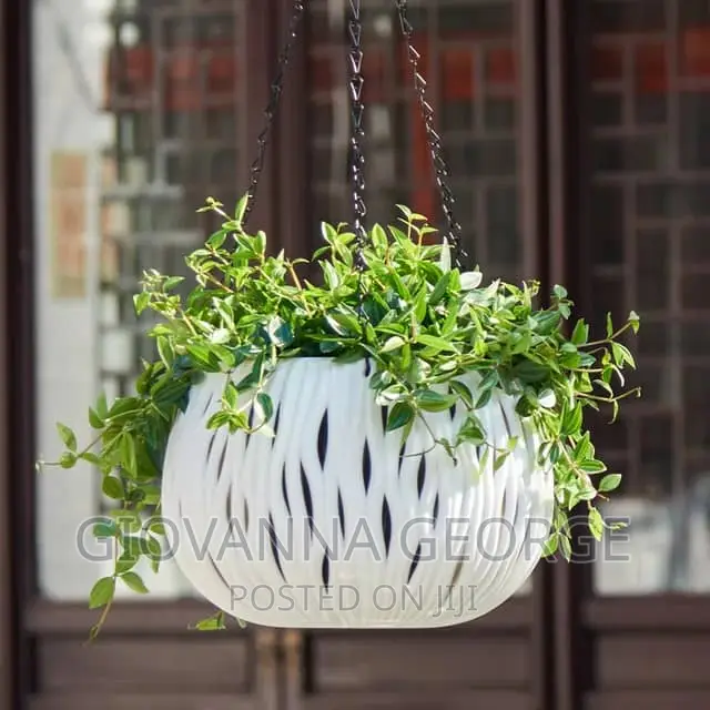 Hanging Flower Pots
