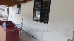 2bdrm House in Sinza Palestina for rent