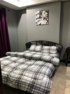 Furnished 2bdrm Apartment in Upanga for rent