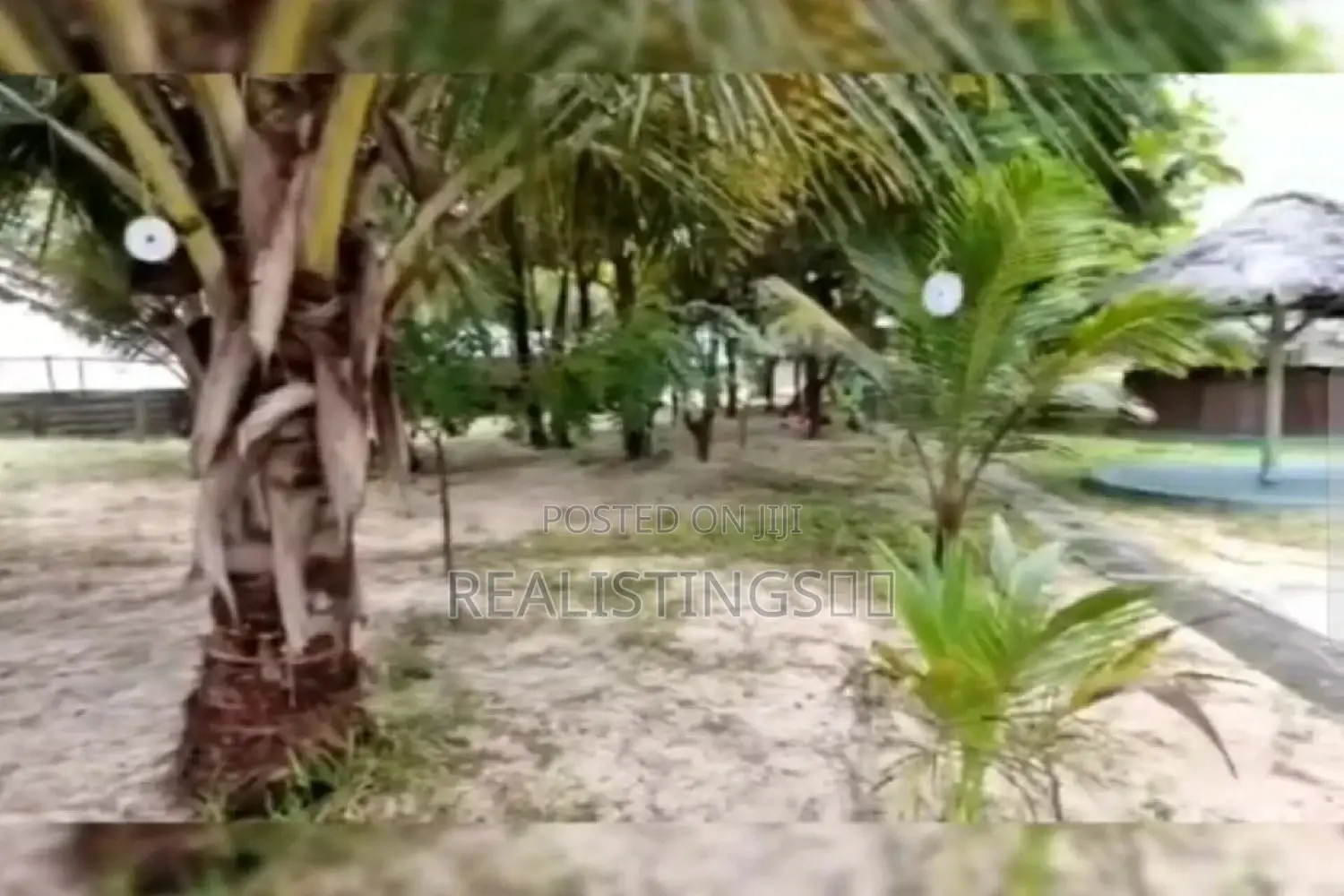 Mkuranga: Ocean Front 9 Acres Beach Land for Sale - Pwani