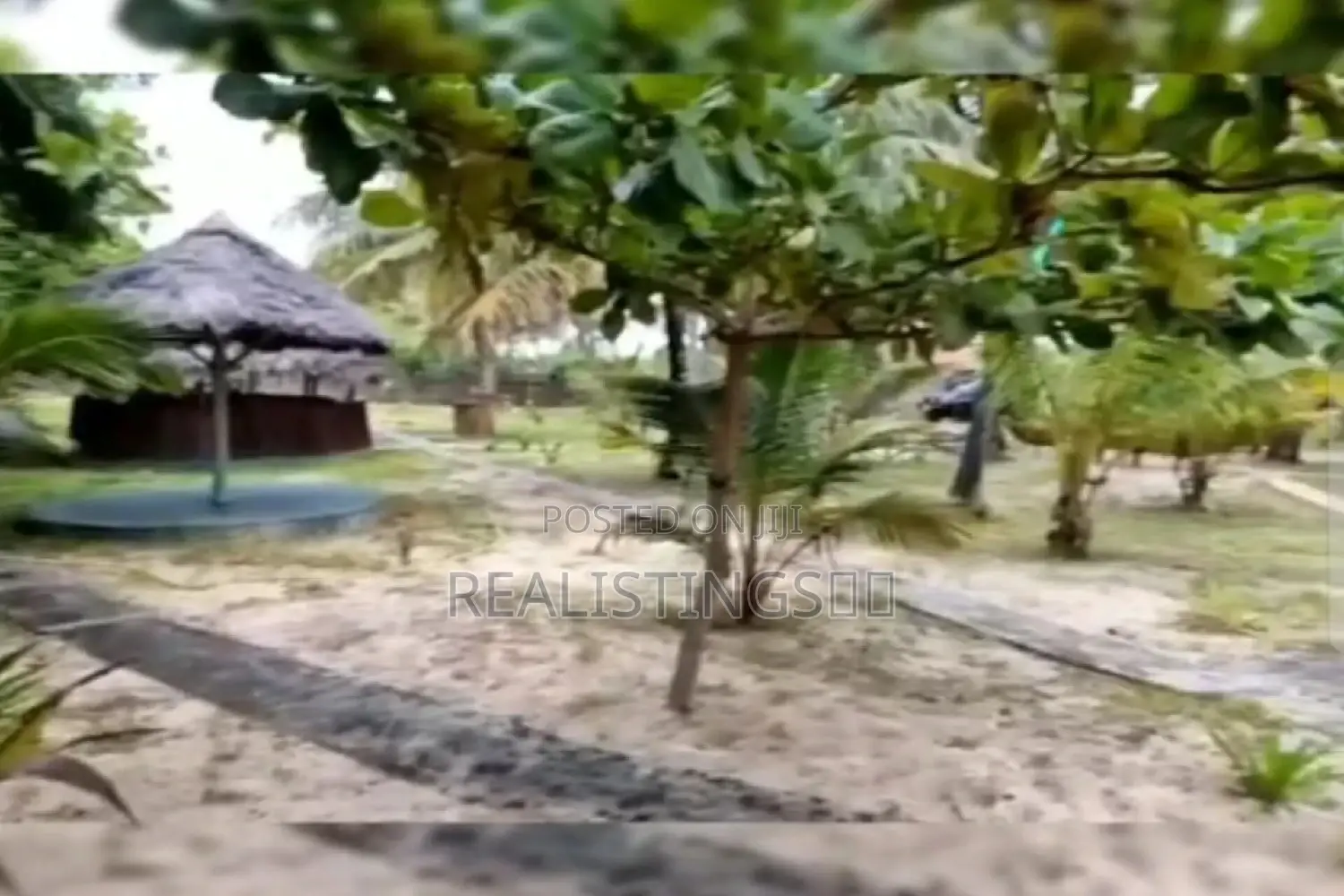 Mkuranga: Ocean Front 9 Acres Beach Land for Sale - Pwani